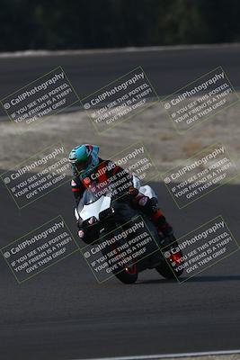 media/Nov-02-2025-Lets Ride (Sun) [[f7a3caa734]]/C Group/1040am (turn 3)/